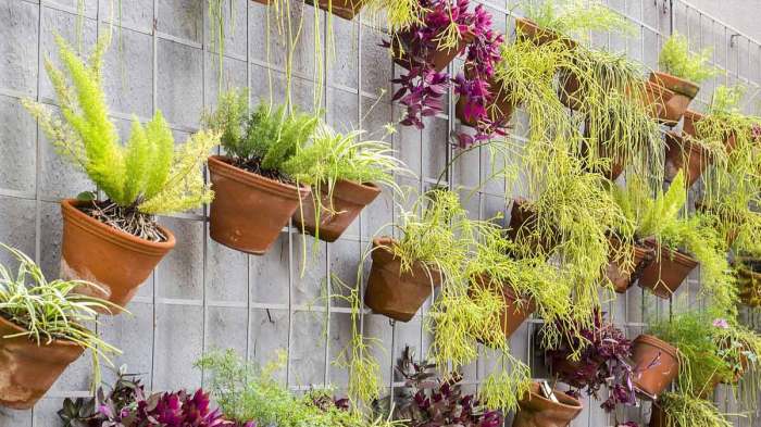 Trik Menata Tanaman Indoor Di Balkon Kecil