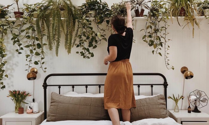 Tanaman Indoor yang Cocok untuk Kamar Tidur