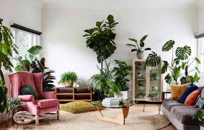 Inspirasi Sudut Tanaman Indoor untuk Rumah Modern